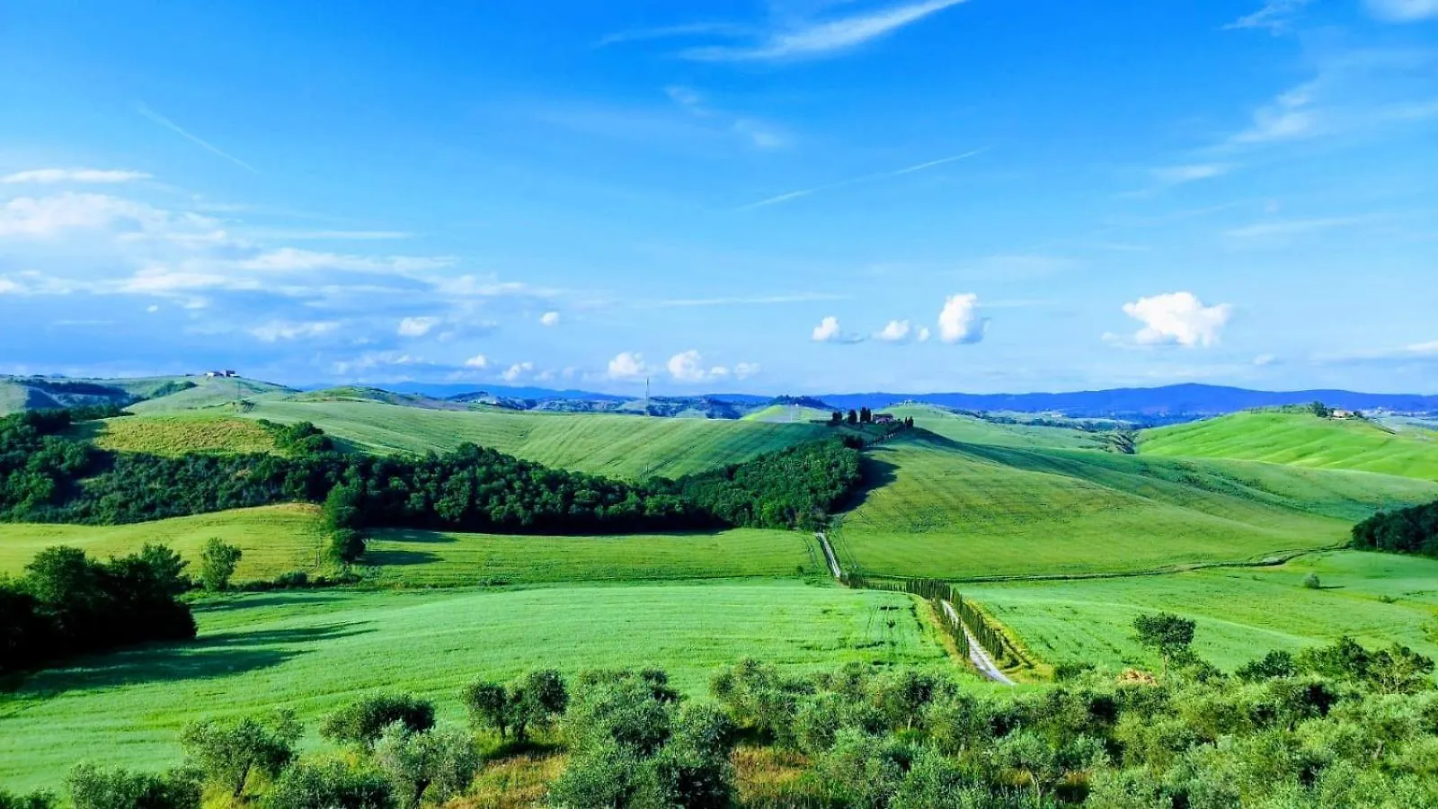 Agriturismo Caliano Asciano
