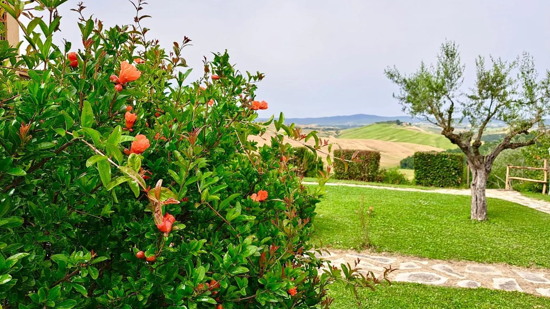 Agriturismo Caliano Asciano Italy