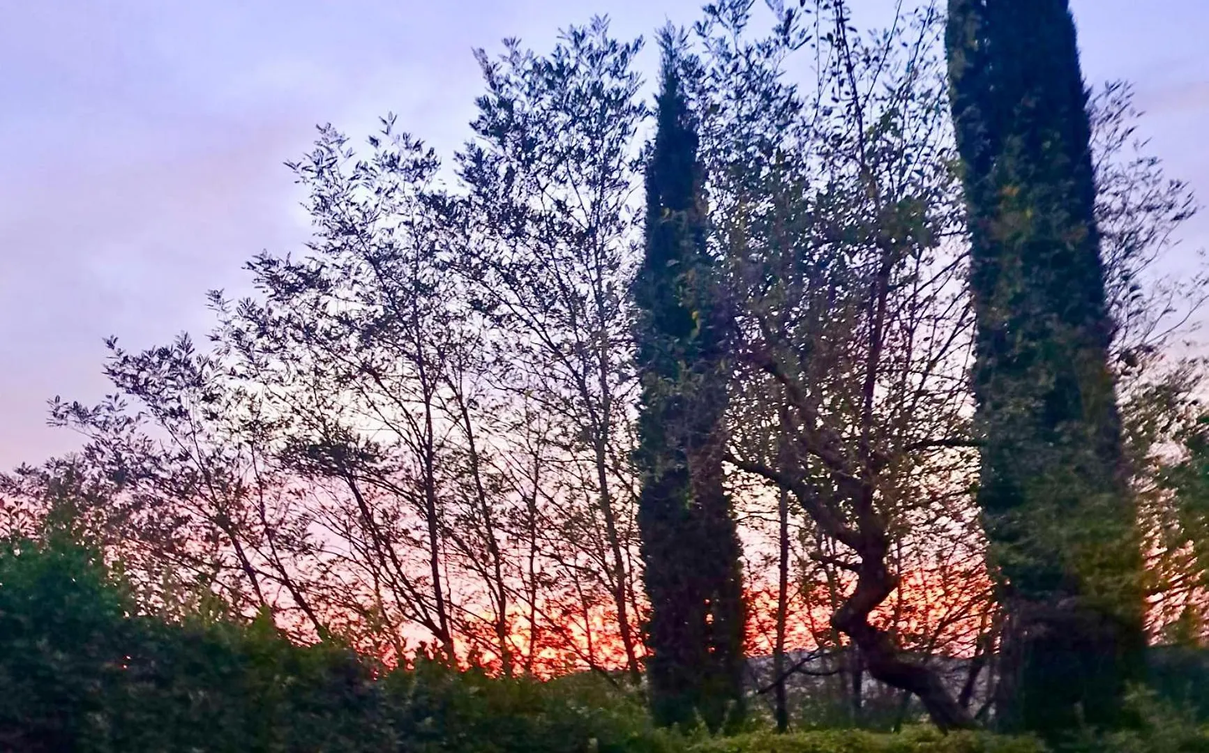 Agriturismo Caliano Asciano Farm stay
