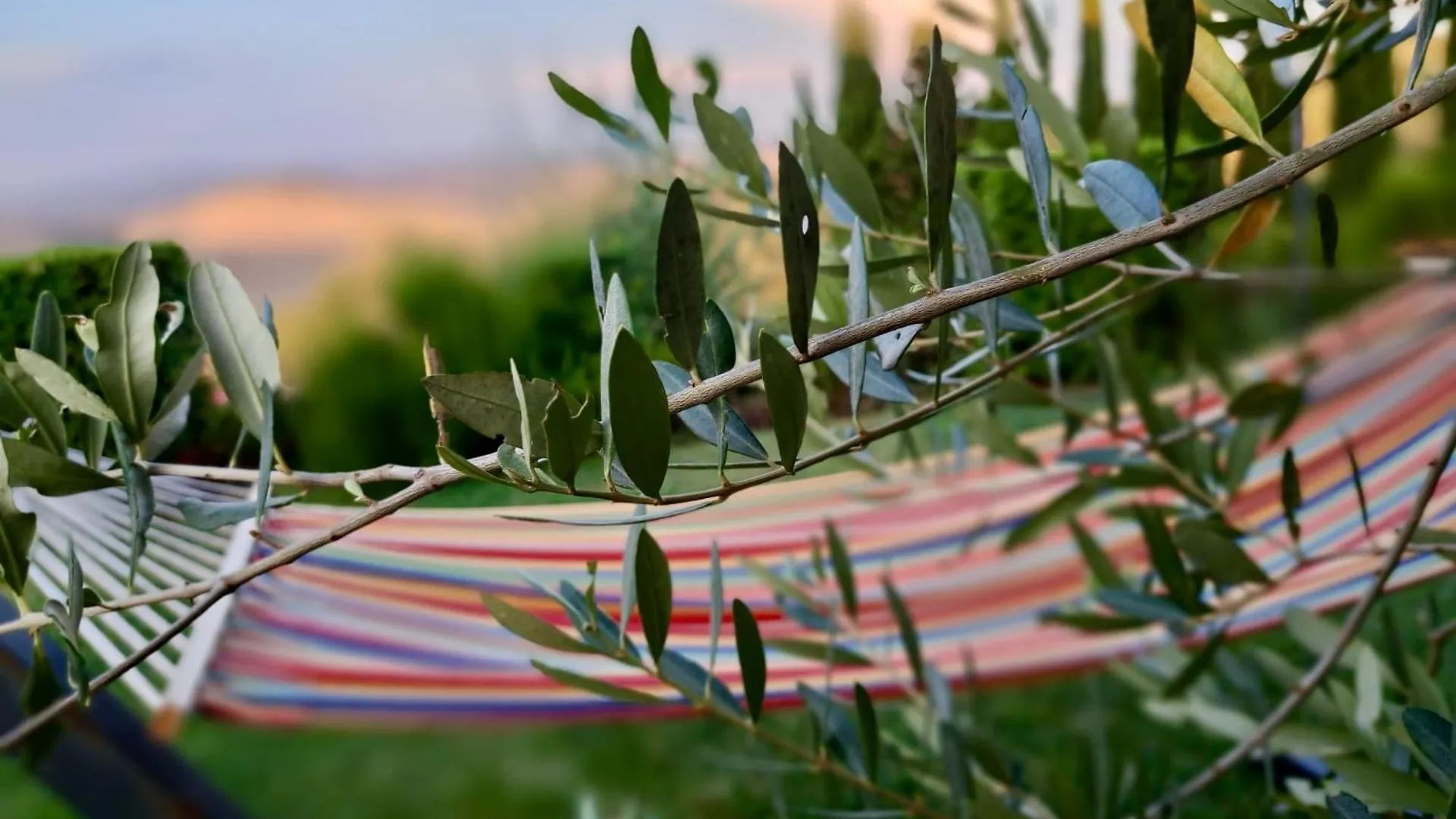 Agriturismo Caliano Asciano 0*,  Italy