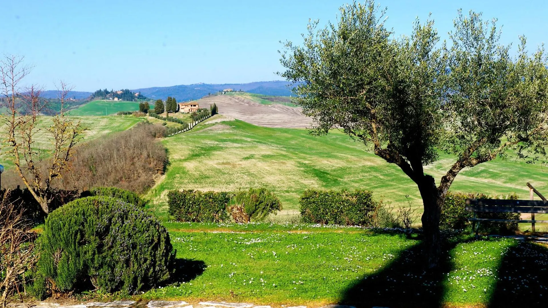 Agriturismo Caliano Asciano